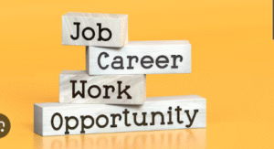 Contemporary Strategies for Maximising Employment Opportunity Systems