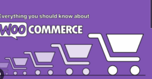 Learning WooCommerce Advanced Techniques
